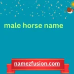 male horse name