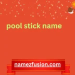 pool stick name