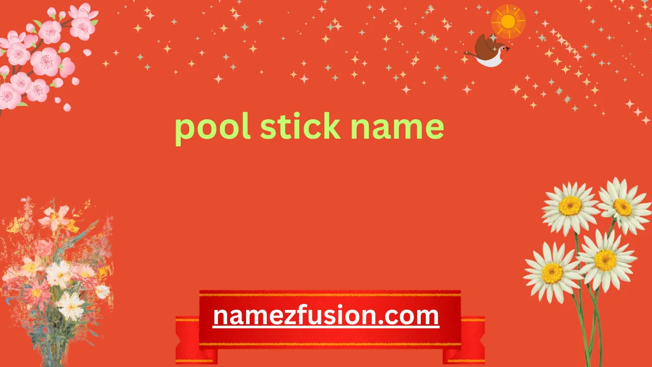 pool stick name