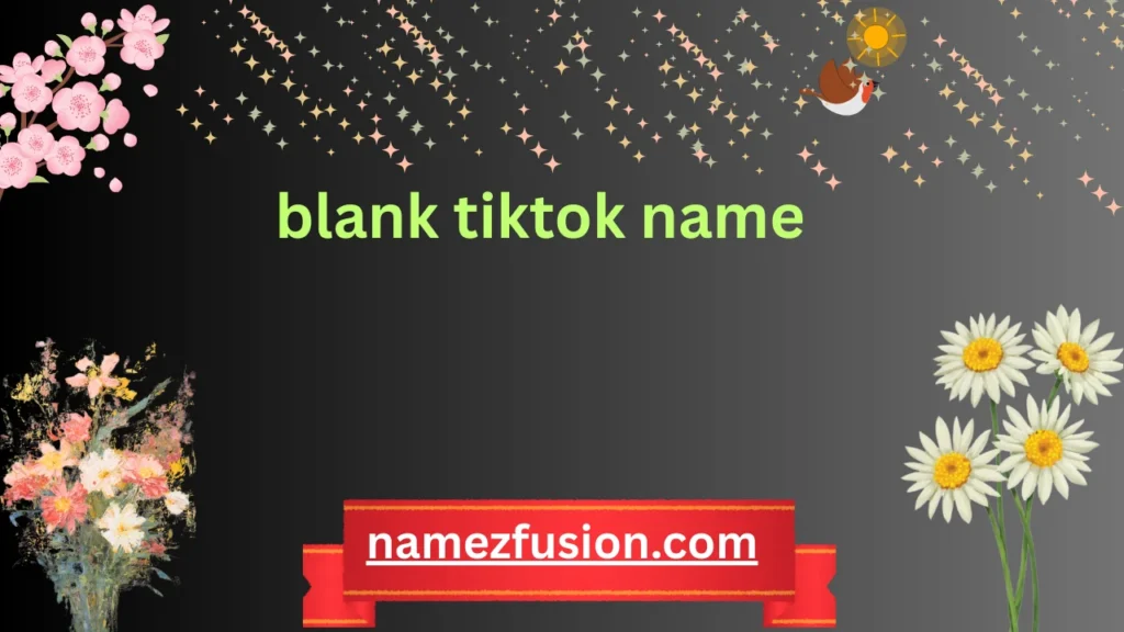 blank tiktok name