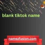 blank tiktok name