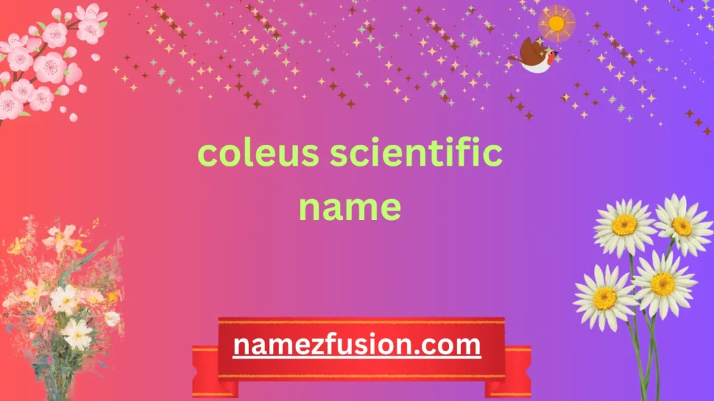 coleus scientific name