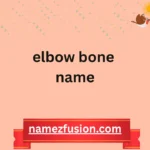 elbow bone name