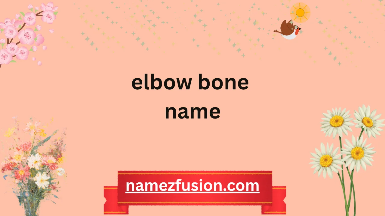 elbow bone name