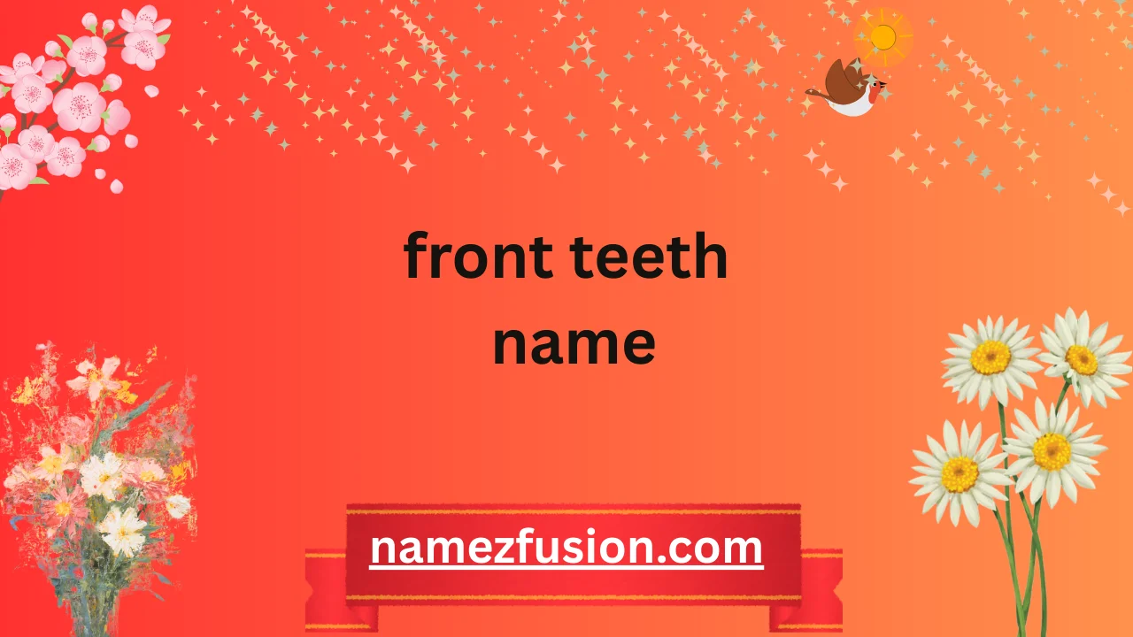 front teeth name