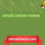 small onion name