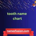 tooth name chart
