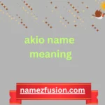 akio name meaning