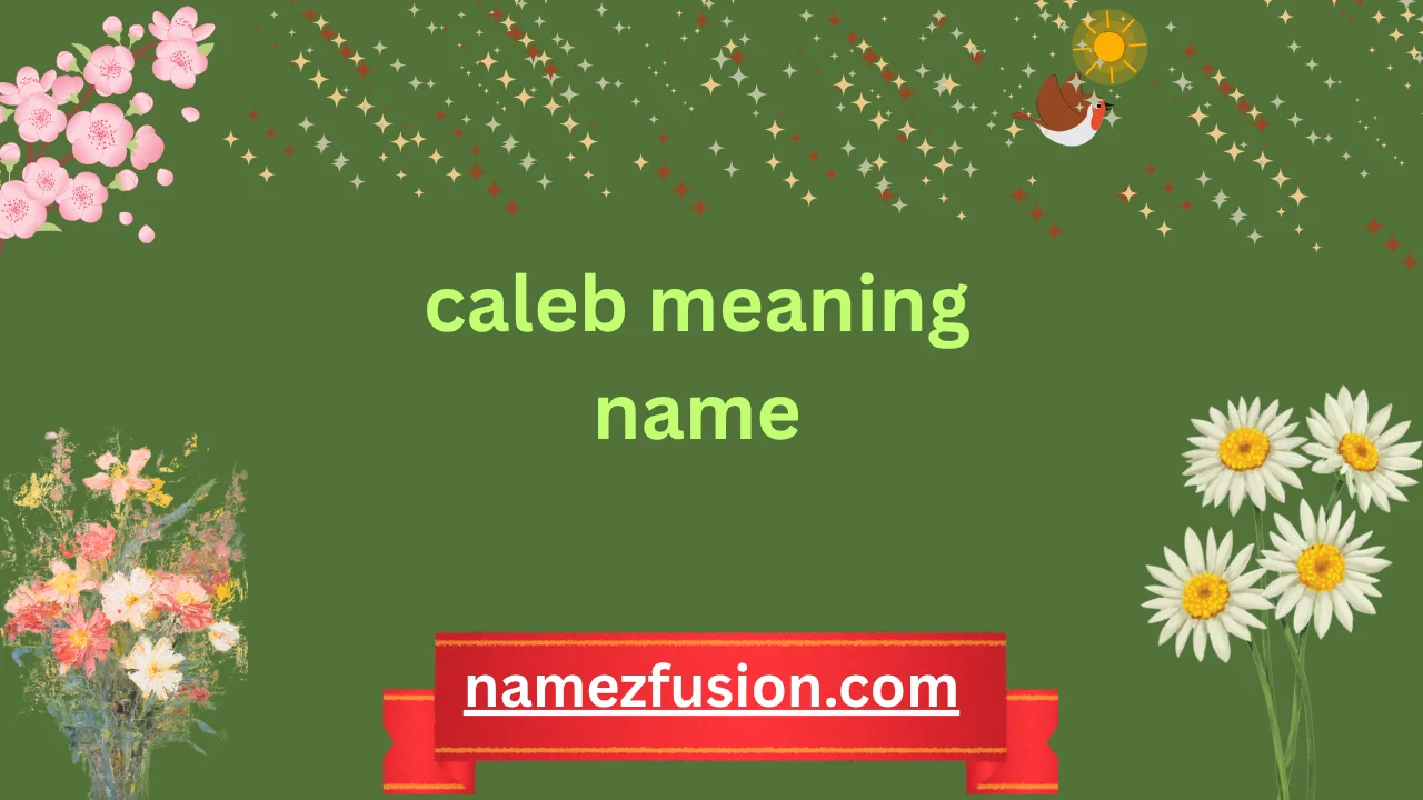 caleb meaning name