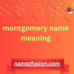 montgomery name meaning