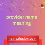provider name meaning