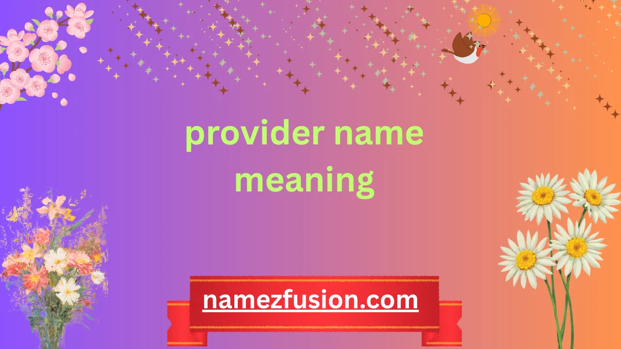 provider name meaning