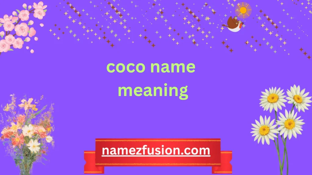 coco name meaning