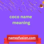 coco name meaning