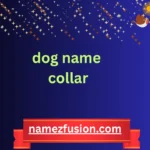 dog name collar