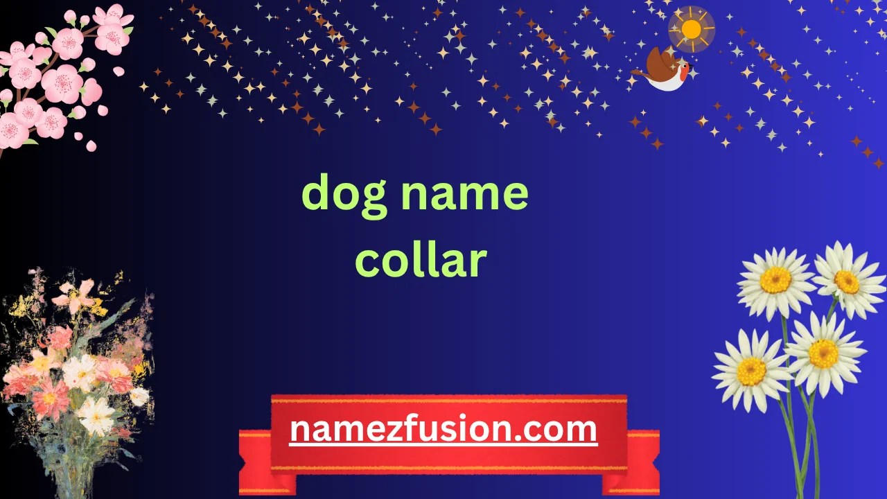 dog name collar