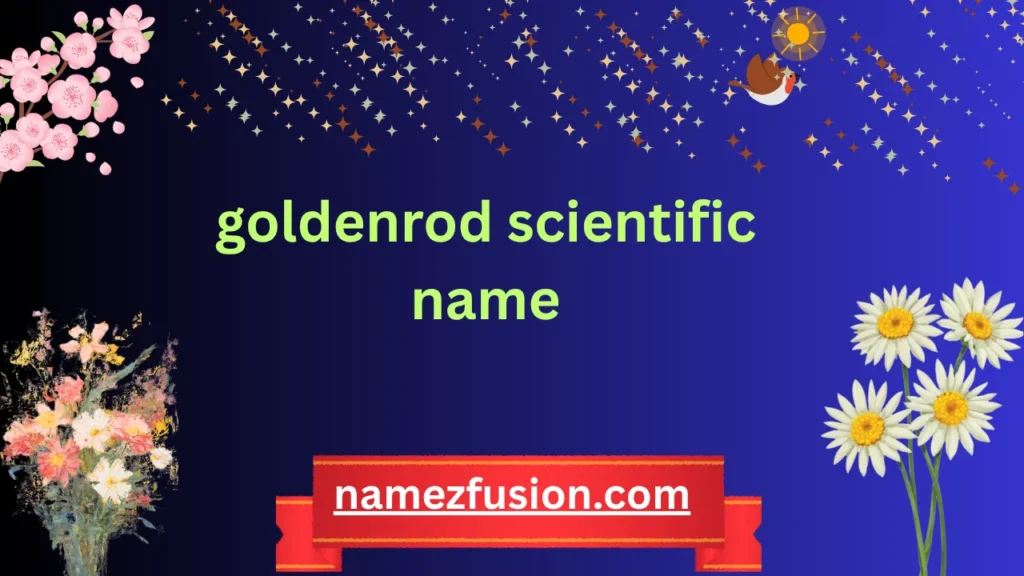 goldenrod scientific name