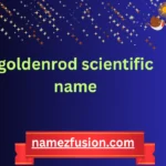 goldenrod scientific name