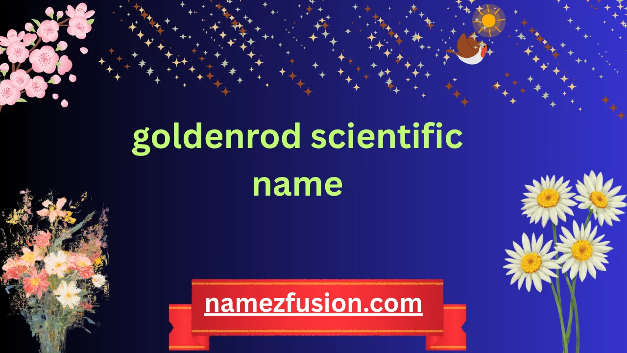 goldenrod scientific name