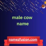 male cow name
