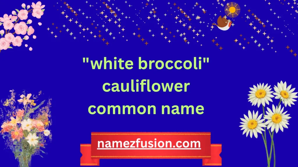 "white broccoli" cauliflower common name