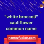"white broccoli" cauliflower common name