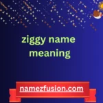ziggy name meaning