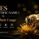 bees scientific name