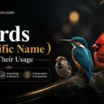 birds scientific name