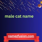 male cat name